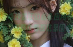 安卓沙发汪的必备应用——51cgfun,瓜群众都在这里围坐。