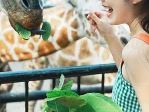 在线分享:“799su”让我怀疑人生的每一秒!