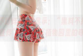 页面显示：“黑料不打烊,万里长征传”——主页植物园里的奇迹！